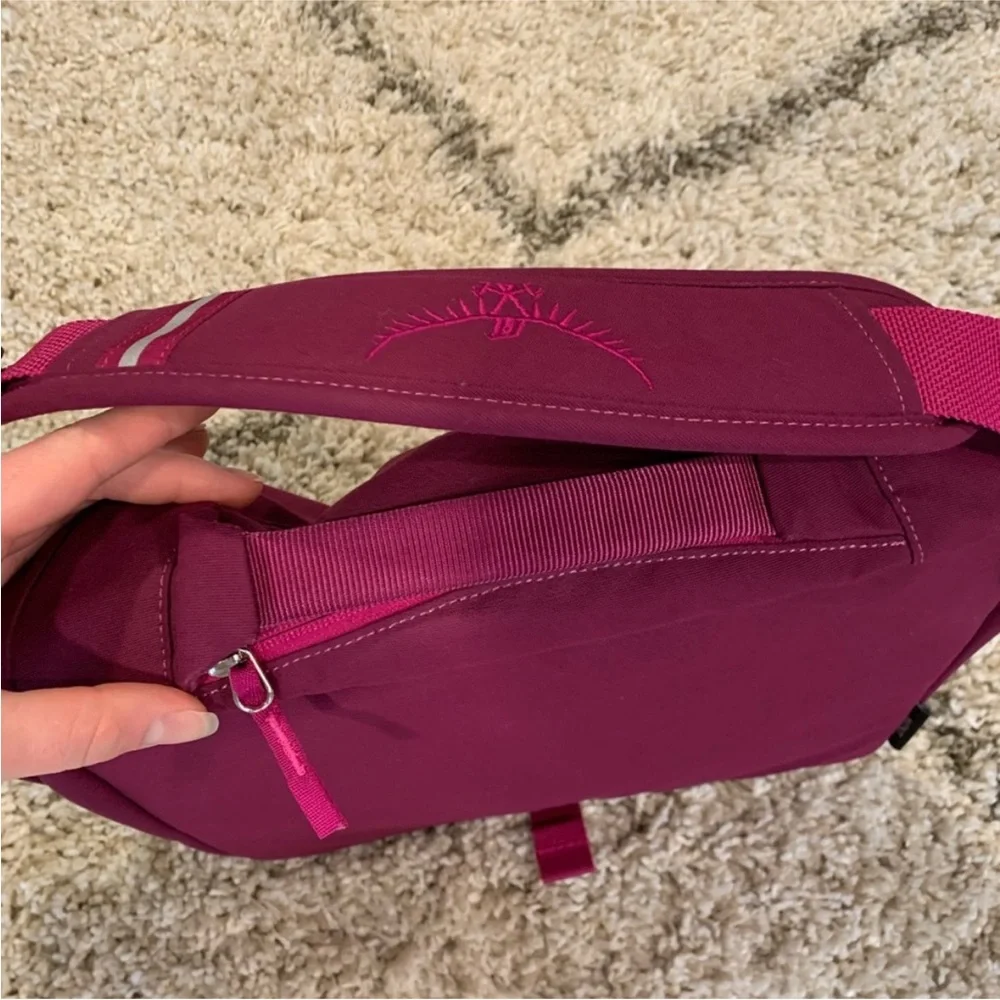 [LIKE NEW] Osprey Flapjill Courier 17L Messenger Bag - Picture 5 of 11